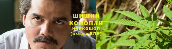 PSILOCYBIN Аркадак