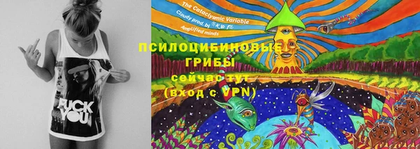 PSILOCYBIN Аркадак
