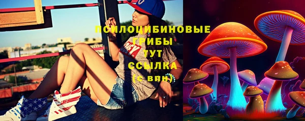 ГАЛЛЮЦИНОГЕННЫЕ ГРИБЫ Арсеньев