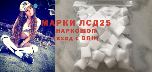 ГАЛЛЮЦИНОГЕННЫЕ ГРИБЫ Арсеньев