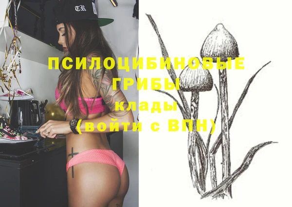 ГАЛЛЮЦИНОГЕННЫЕ ГРИБЫ Арсеньев