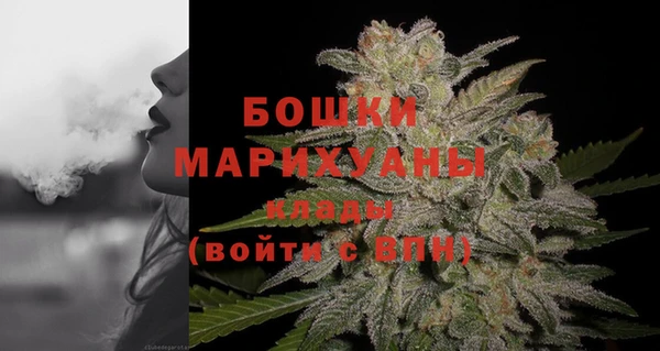 PSILOCYBIN Аркадак