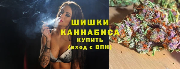 PSILOCYBIN Аркадак