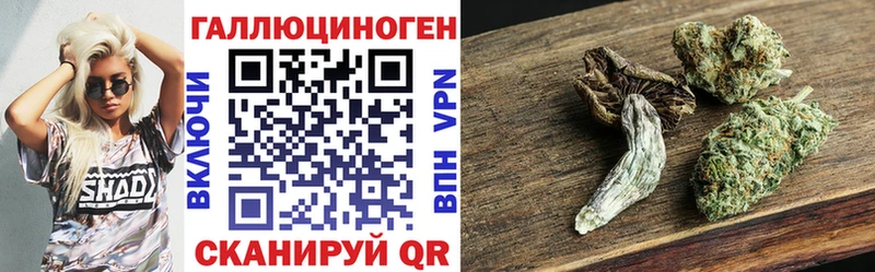 Купить  Северобайкальск  Псилоцибиновые грибы Psilocybine cubensis 