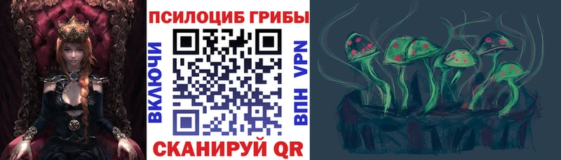 Псилоцибиновые грибы Psilocybine cubensis Северобайкальск